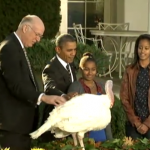 President Obama pardons Turkeys Cobbler and Gobbler for Thanksgiving 2012