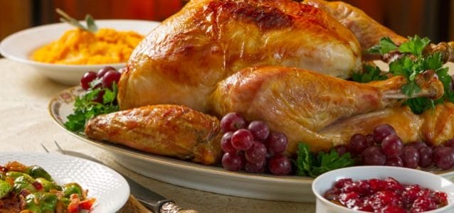 Thanksgiving Turkey