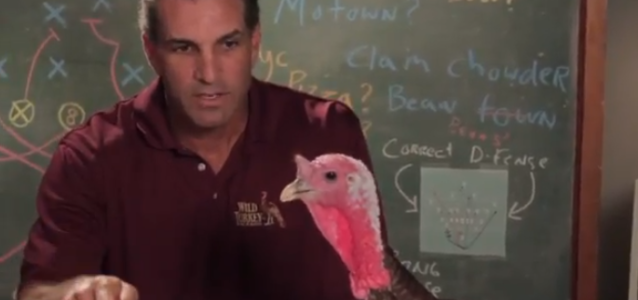 Vinny Testaverde