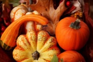 Thanksgiving Harvest
