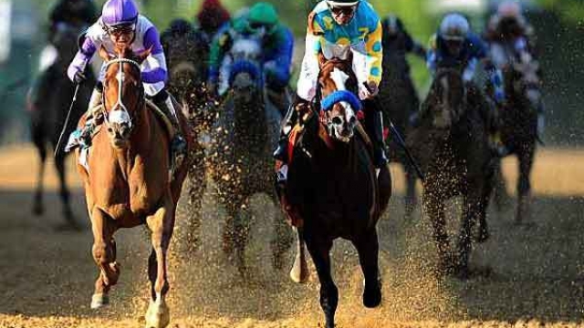 I’ll Have Another Wins Preakness Stakes