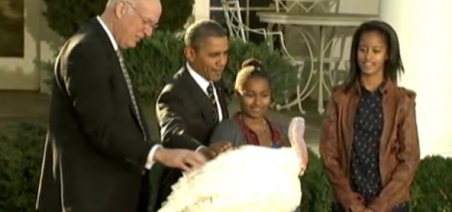 Wild Turkey Asked For President Obama’s Pardoned Turkeys Cobbler and Gobbler, “Give Us the Bird”