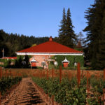 korbel_winery_california