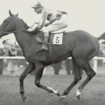 Never Say Die Horse
