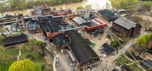 Buffalo Trace Recovers
