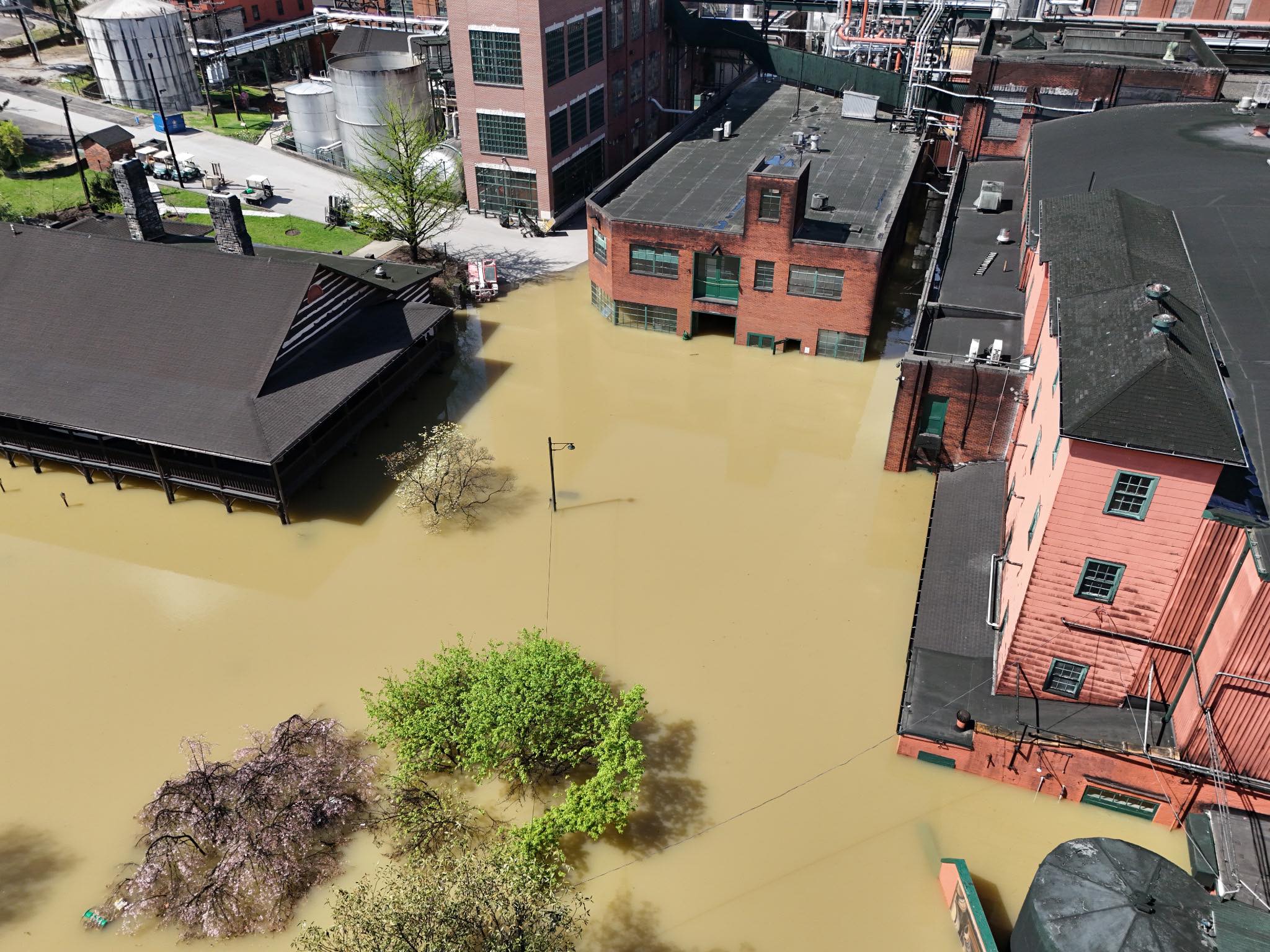 Buffalo Trace boubon flood