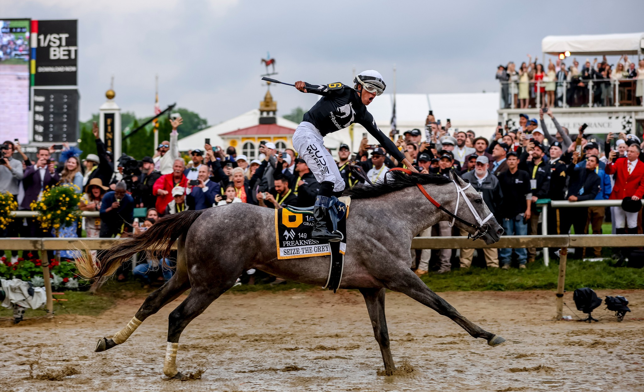 Seize the Grey, Preakness Stakes